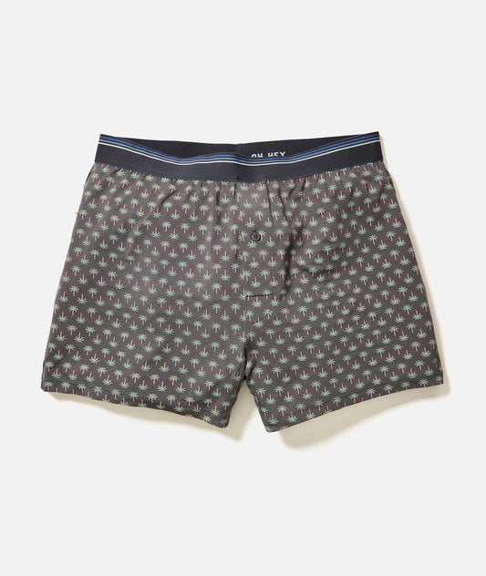 Best Boxers Ever