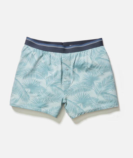 Best Boxers Ever